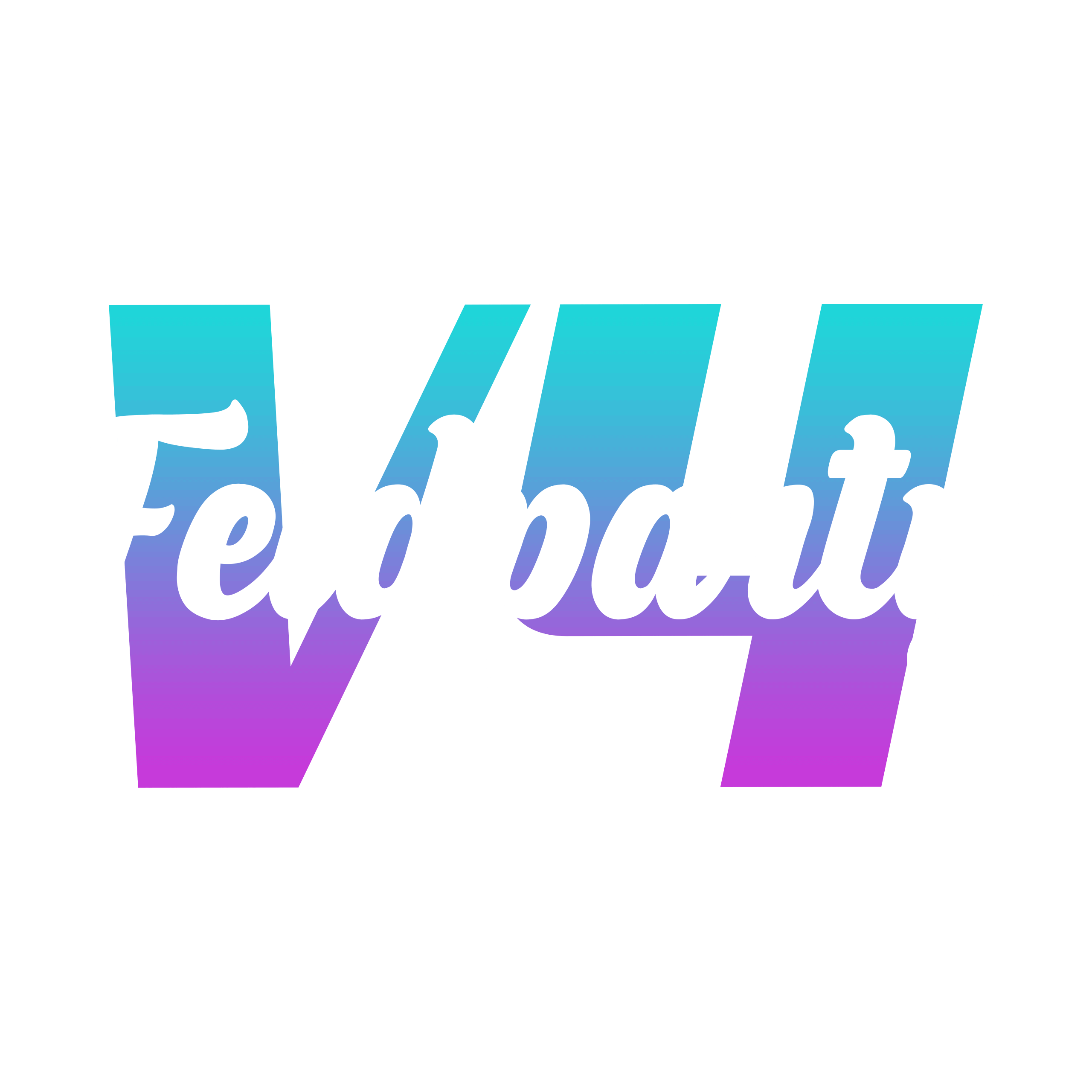 Feldparty V4 Logo